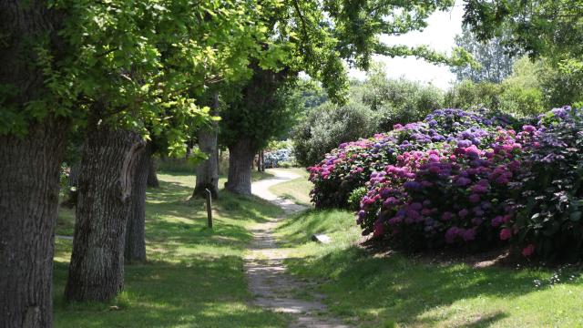 Sentier des hortensias Ploërmel