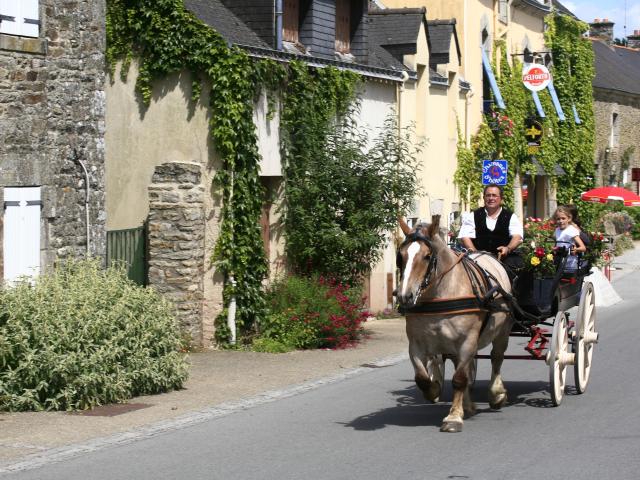 Adt Aa5345 Marc Schaffner Morbihan Tourisme