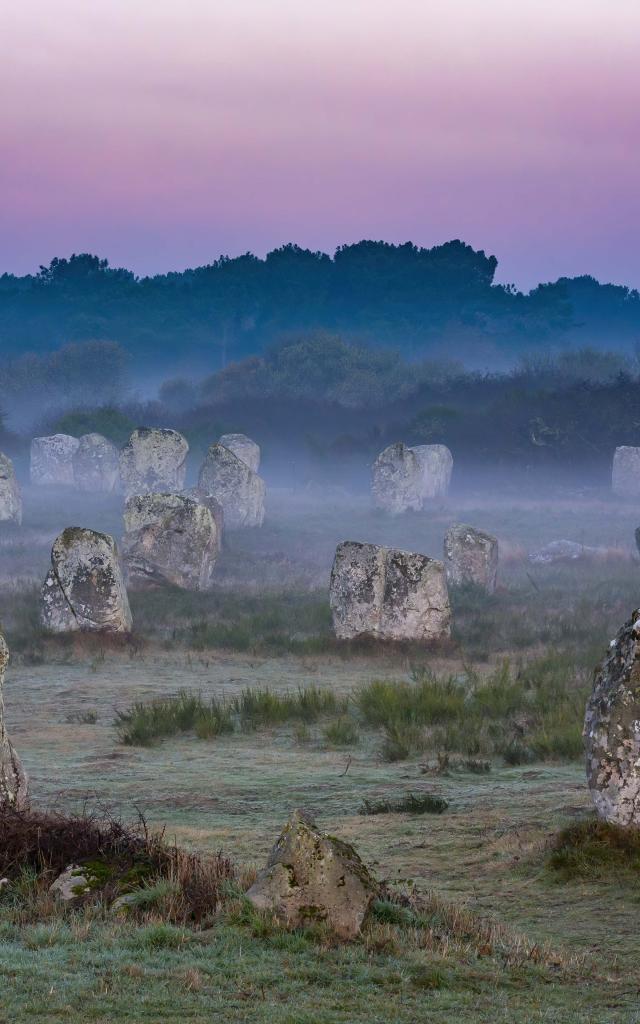 Alignements du Ménec à Carnac au petit matin