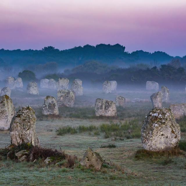 Alignements du Ménec à Carnac au petit matin