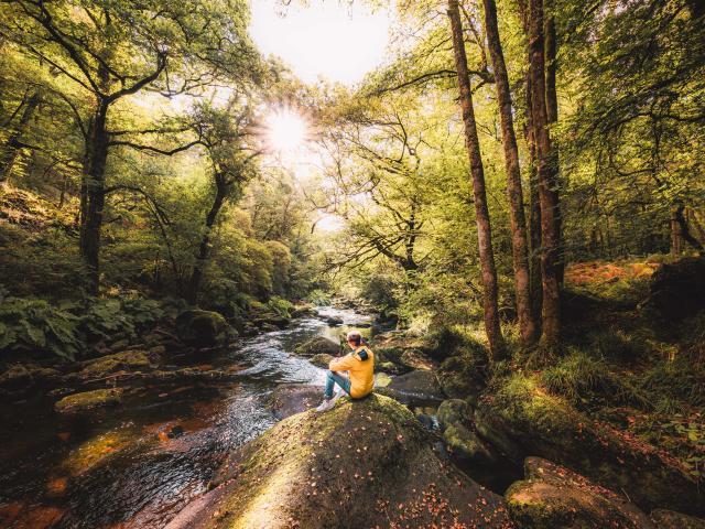 Forêt Pont Calleck