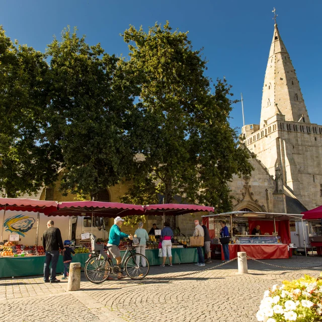 Larmor-Plage