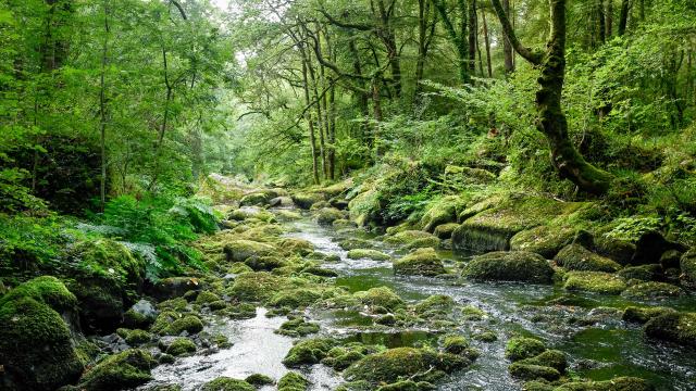 Rivière l'Ellé