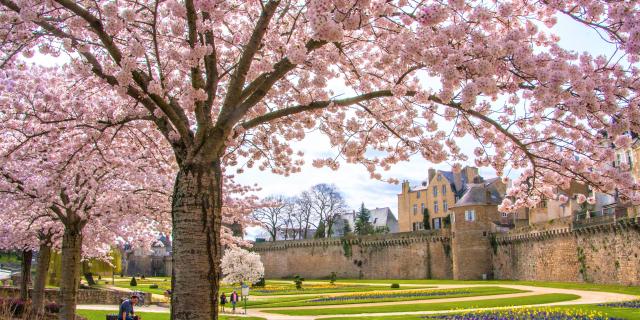 Remparts de Vannes