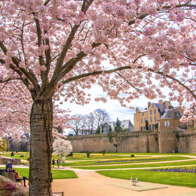 Remparts de Vannes