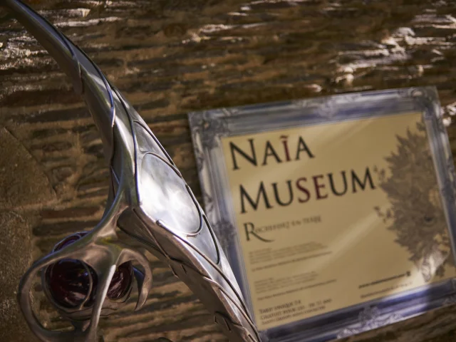 Naia Museum