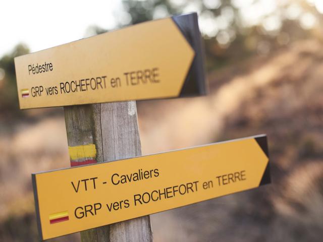 Rochefort en Terre - Les Grées - Randonnee Ballade Marche Groupe