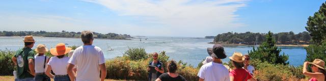 Visite guidée sur l'île de Gavrinis