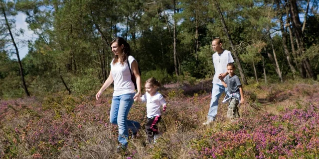 Balade Nature Rochefort En Terre