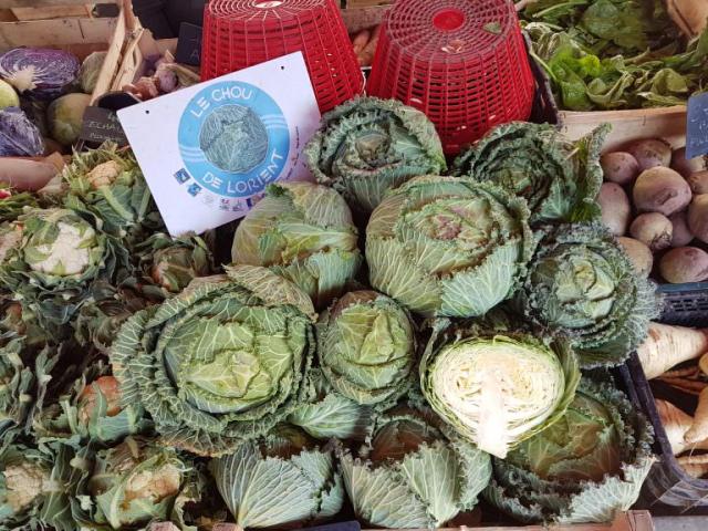 Choux sur le marché de Lorient