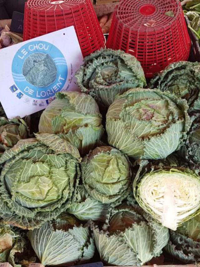 Choux sur le marché de Lorient