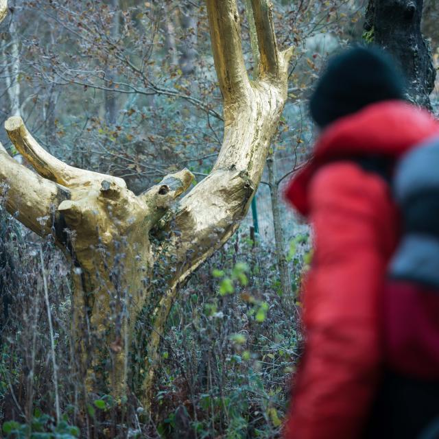 Tréhorenteuc, randonneur au Val sans Retour dans la forêt de Brocéliande