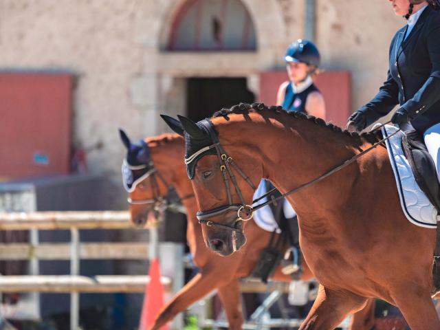 Haras National d'Hennebont