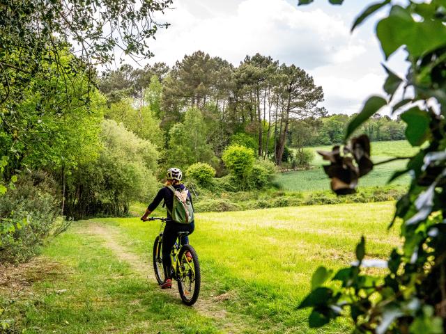 Landes de Lanvaux