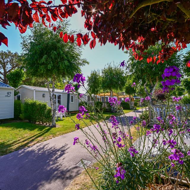 Camping de la Baie, La Trinité sur Mer