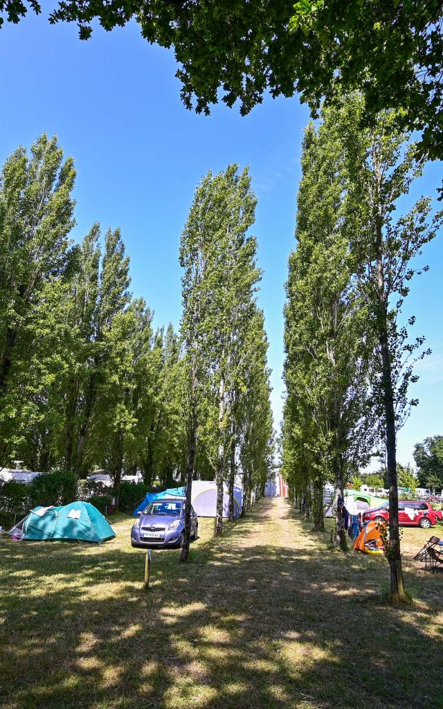 Camping Le Diben Larmor Baden Loic Kersuzan Morbihan Tourimse 2033 Dsc 6753