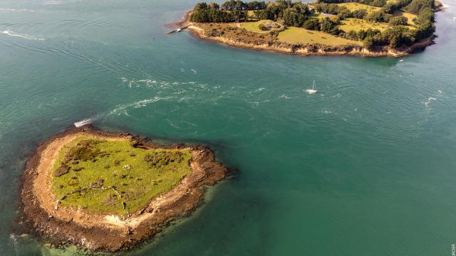 Parc Naturel Régional du Golfe du Morbihan