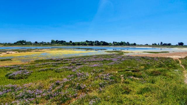 Ile d'Arz