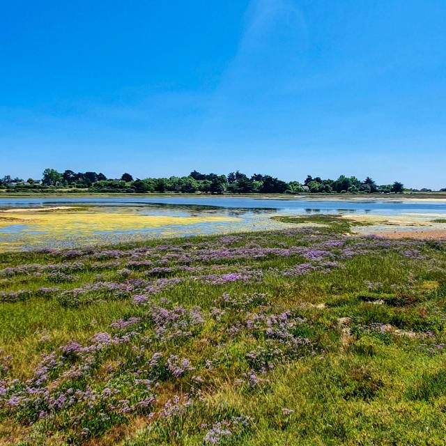 Ile d'Arz