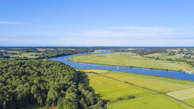 Les rives de La Vilaine