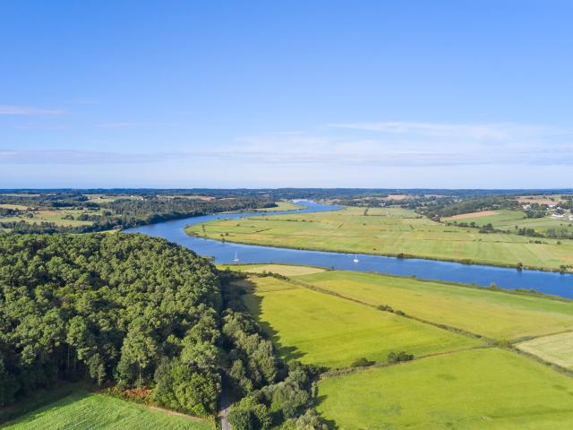 Les rives de La Vilaine