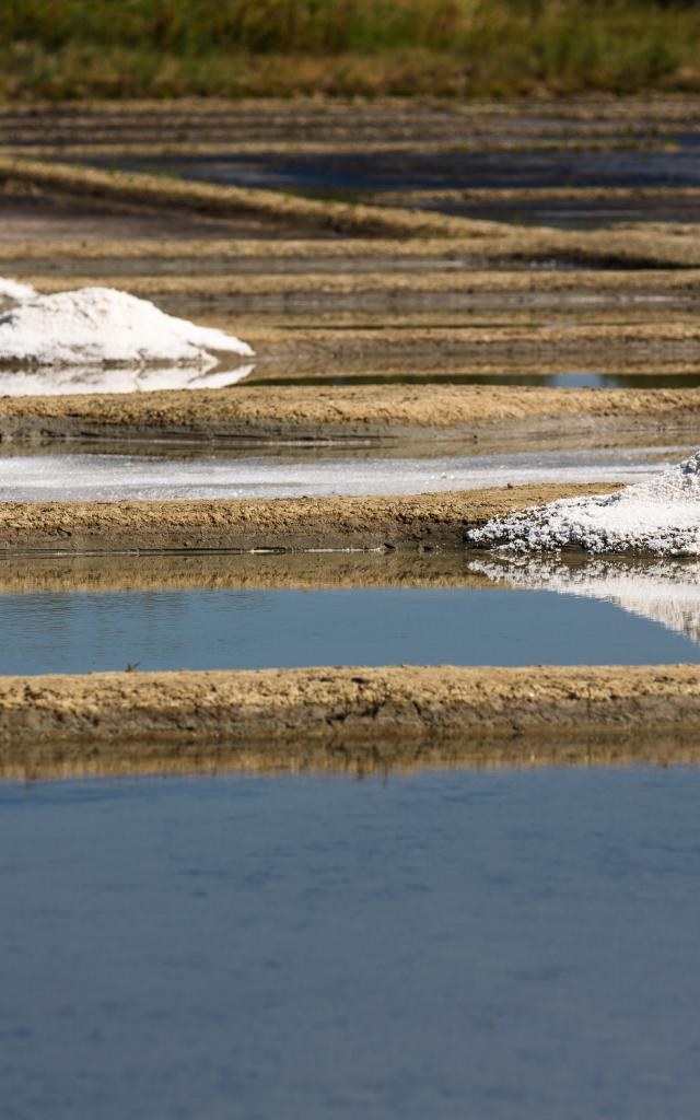 Marais salants de Guérande