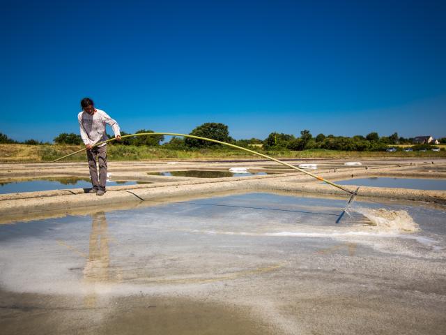 Marais salants de Guérande