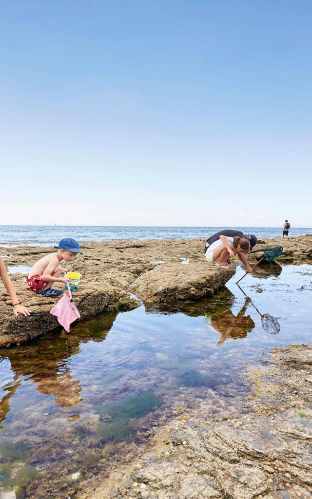 Pêche à pied Golfe du Morbihan