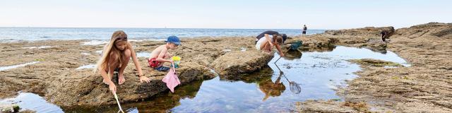 Pêche à pied Golfe du Morbihan