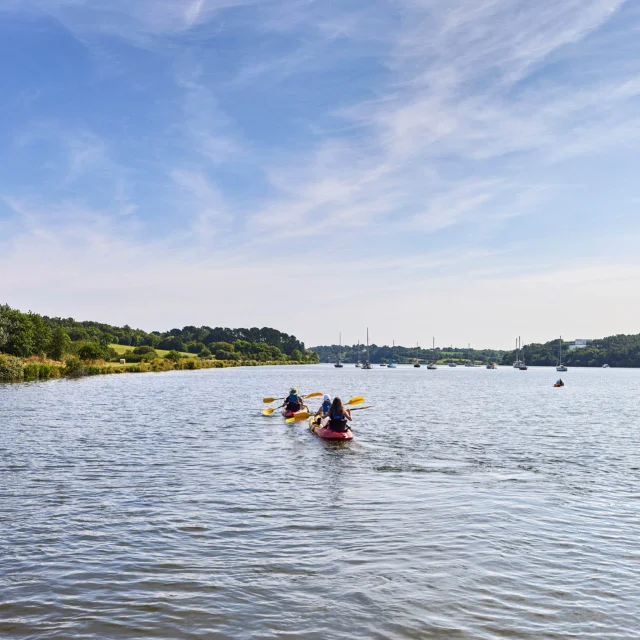 Balade en kayak à Arzal