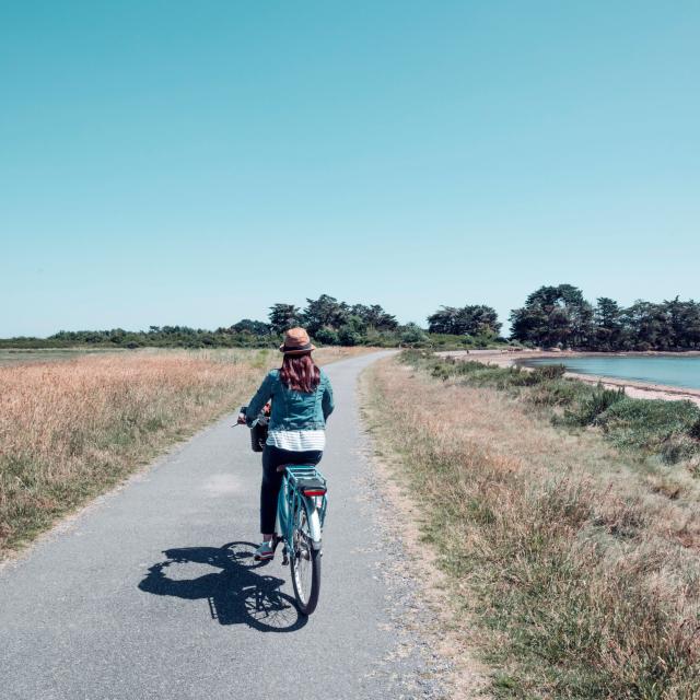 Balade à vélo à l'Ile d'Arz