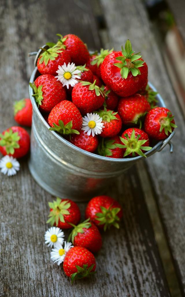 Fraises