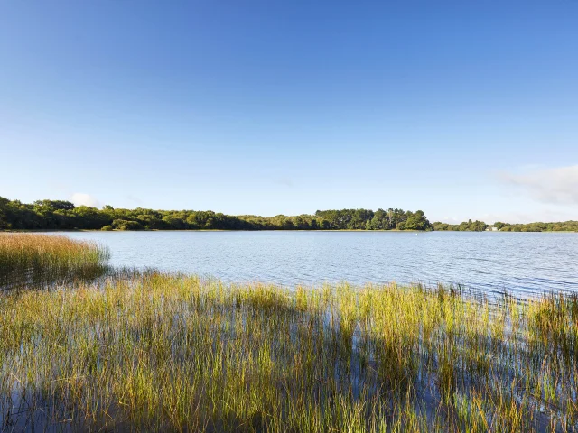 Etang de Priziac