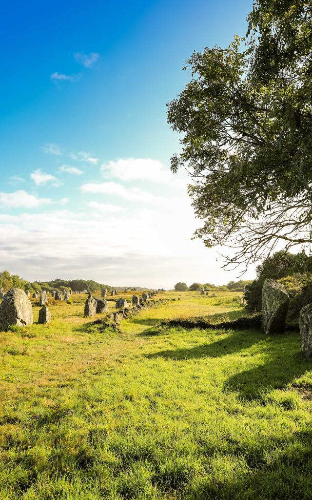 Alignements de Carnac