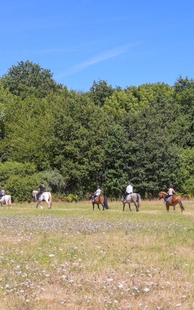 Balade Cheval Loic Kersuzan Morbihan Tourisme 2033 Baden 1