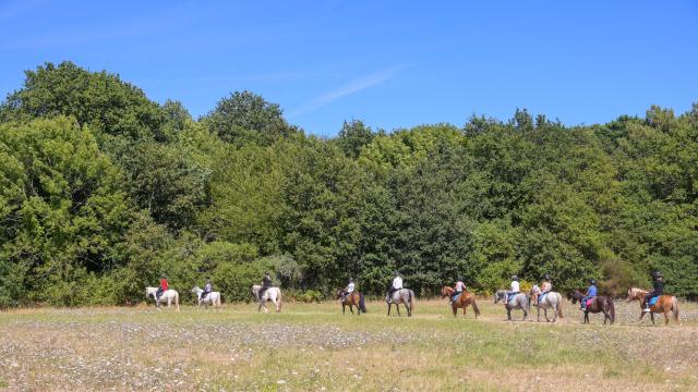 Balade Cheval Loic Kersuzan Morbihan Tourisme 2033 Baden 1