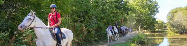 Balade à cheval à Baden