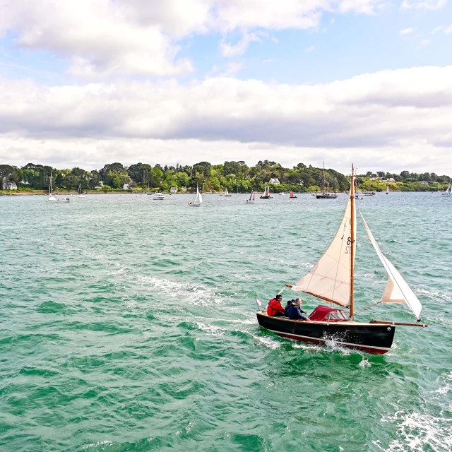 Ile Aux Moines Semaine du Golfe