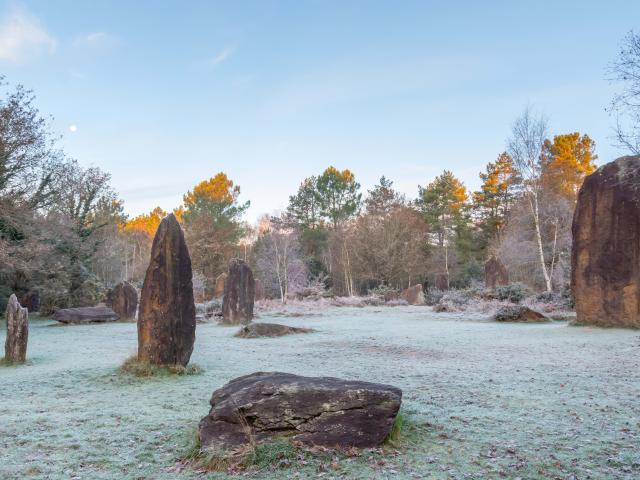 Menhir De Monteneuf