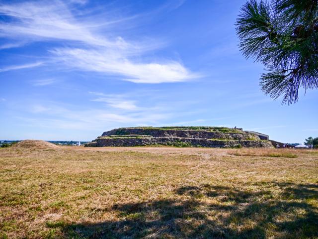 Petit Mont, Arzon