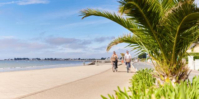 Remblai grande plage de Damgan