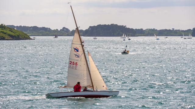 Semaine du Golfe