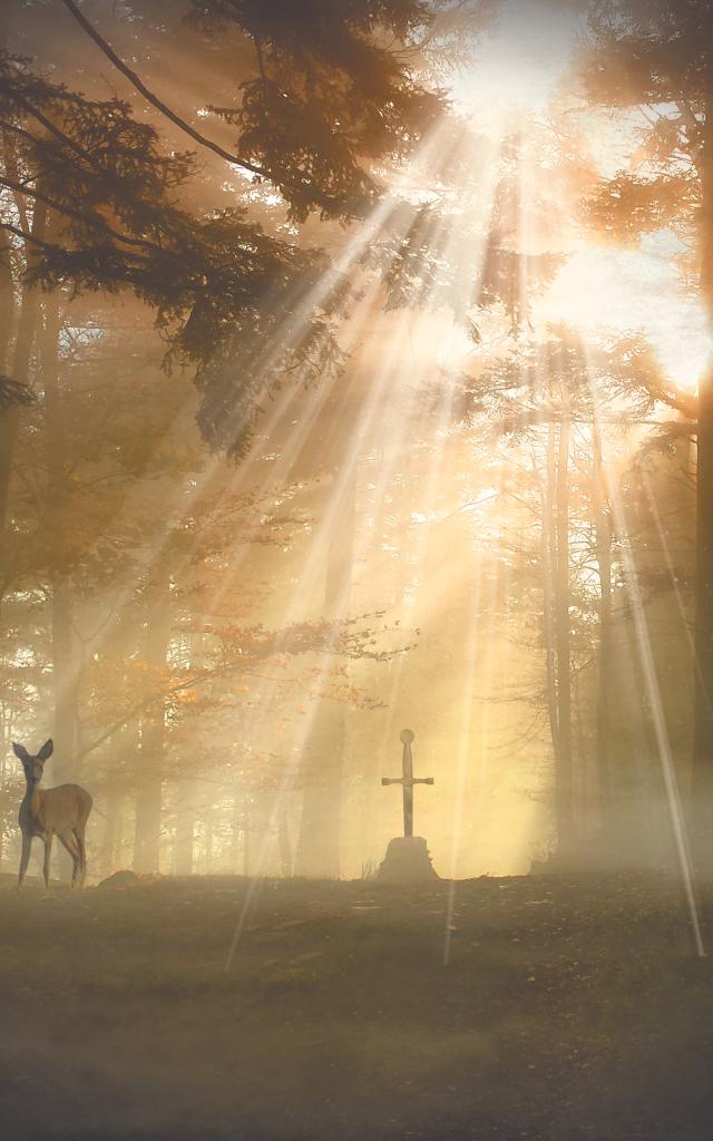 Forêt légendaire de Brocéliande