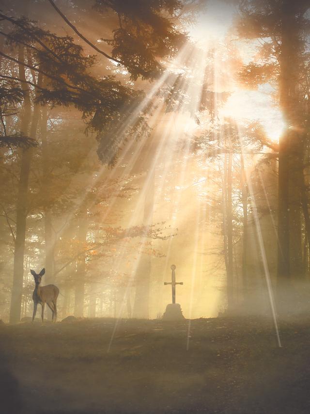 Forêt légendaire de Brocéliande