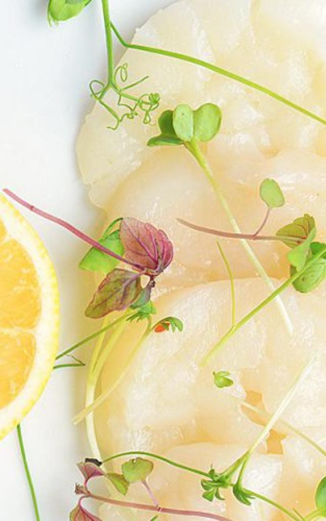 Carpaccio St Jacques Vanille Citron