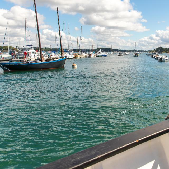 Croisière vers l'île aux Moines