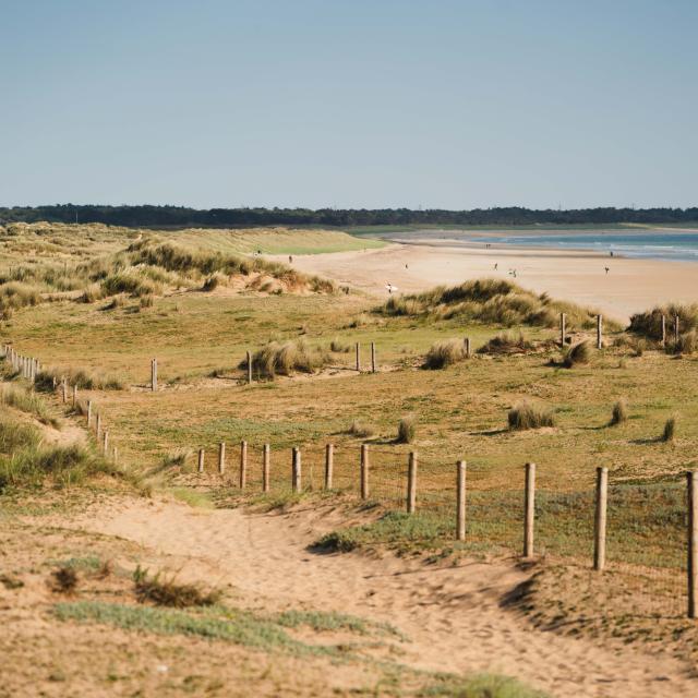 Dunes, Erdeven