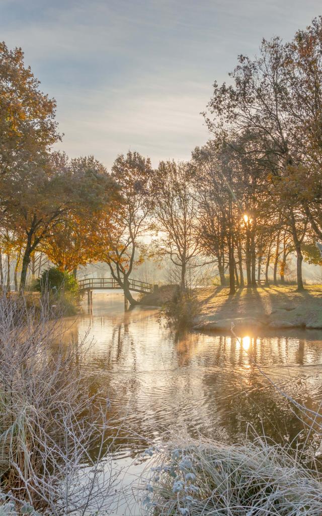 Etang de Carentoir