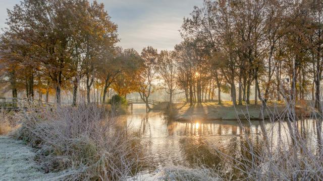 Etang de Carentoir