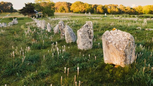 Menhir Zoom Carnac Hdthibault Poriel 31 10 2028